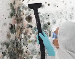 Mold Remediation for Rental Properties in Mercedes, TX